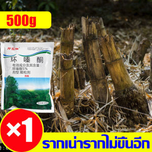 💥ป่าไผ่กลายเป็นนาเพาะปลูก💥สารกำจัดกอไผ่ เข้มข้นสุดๆ ยาฆ่าต้นไผ่ตาย รากเน่ารากไม่ขึ้นอีก ยาฆ่าไม้ไผ่ สามารถกำจัดกอไผ่ได้ทุกสายพันธุ์ ยาฆ่ากอไผ่ เหมาะสำหรับกำจัดวัชพืช ต้นไม้ และไผ่ทุกชนิด ไม่ทำลายดิน ผงกำจัดกอไผ่ ผงกำจัดต้นไผ่ ยากำจัดกอไผ่ กำจัดกอไผ่