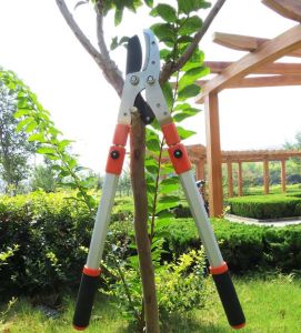 TK-23 Gunting Besar Pemotong Dahan Ranting Pohon Bahan Besi Tajam Telescopic Anti Karat Gagang Panjang