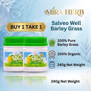 [BUY 1 TAKE 1] SBG 240g 1+1 Powder Jar 100% Pure and Organic Salveo Barley Grass Original Powder - Nutrietional Drinks and Detoxifier