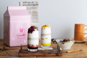 Roichen Home Made Yogurt Maker