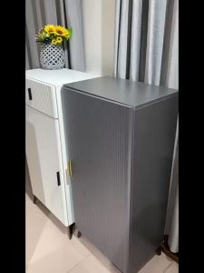 Shoe Cabinet Simple And Modern Single Door Narrow Entrance Elevator Storage Cabinet