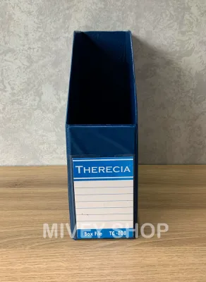 3 Pcs Box File Plastik