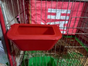 Sét 2 Cái Máng ăn chống vương vãi thức ăn chống bới cho chim cu gáy chim bồ câu chinh cảnh