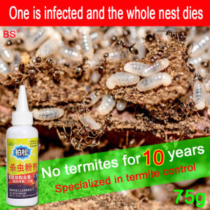 Odorless Termite Control Solution: ANAY 75g Bait Repellent Gel & Powder