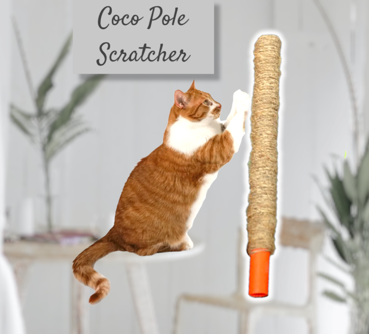 1ft Coco Pole Cat Scratcher I Cat Scratching Post I Best Cat