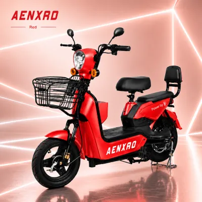 electric bikes Daily commute E Bike For Adult 48V12ah 2 Wheels e bike Max Speed 50KM/H Waterproof IP66 LCD