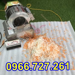Máy thái sợi thái lát mỏng củ quả chạy điện