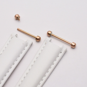 1 Pair Watch Strap Screw Pins for Smart Watch Bracelet Clasp Buckle Friction Tube Watch Replacement Accessories Repair T