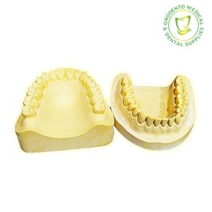 Ordento Dentolous Model Cast