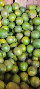 JERUK PERAS  FRESH MANIS SEGAR 1KG | JERUK IJO | JERUK LOKAL