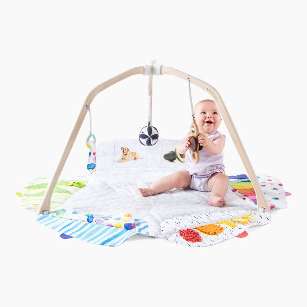 Lovevery Play Gym The Looker Play The Charmer Play Kit