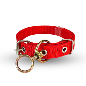 (Kèm chuông) Vòng cổ 2 lớp có móc xoay chống xoắn 360 độ dành cho Chó từ 6kg đến 25kg