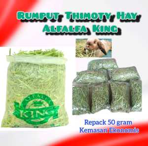Rumput Thimoty Hay Alfalfa King Makanan Kelinci Kemasan Ekonomis Repack 50gr