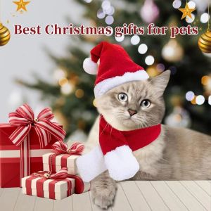 GHS 2Pcs/Set Christmas Dog Scarf Collar Winter Warm Pet Neck Warmer Cozy Adjustable Small Dog Accessories for Small Dogs