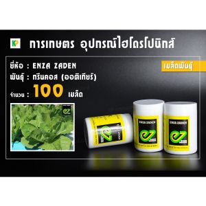 เมล็ดพันธุ์ผักสลัด เอนซ่า [ENZA ZADEN] แบบแบ่งขาย 100 เมล็ด | KP การเกษตร