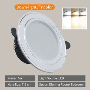 【In stock】Tricolor 5W Downlight Ceiling Light Recessed Pin Light Led Round Panel Light Ceiling Light