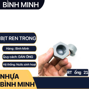 Bịt Nhựa Ren Trong Đầu Bịt Nhựa PVC BÌNH MINH Ống Phi 21 27 34
