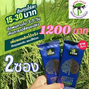 4Tree​ของแท้ โฟร์​ทรี​ 2 ซอง สารเพิ่มประสิทธิภาพพืชสูตรอิออน ดูดซึมไว เร่งราก โตเร็ว เขียวไว เขียวนาน เพิ่มค่าแป้ง เพิ่ม%น้ำยาง เพิ่มน้ำตาล พืชเติบโตสุดสายพันธ์ ใช้ได้กับพืชทุกชนิด ของแท้100%