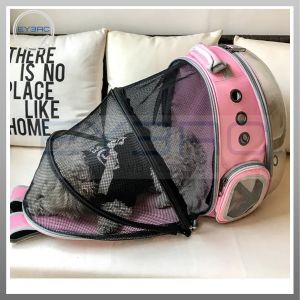 Expandable Transparent Backpack