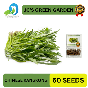 (60 SEEDS) CHINESE KANGKONG SEEDS/FOR PLANTING/HYBRID/EASY TO GROW/TSINO VARIETY