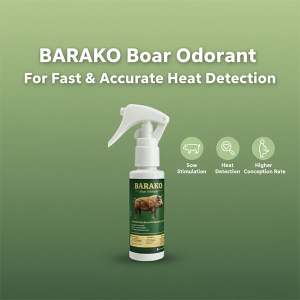 BARAKO Boar Odorant 100 ML per Bottle for Gilts and Sows Heat Signal Spray / Natural na amoy para sa mga inahing baboy 100Ml per bottle Natural pheromone