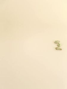 Cat Snack Catnip Small Fish Biscuit Kittens Cat Grass Cat Grass Grain Tooth Cleaning Molar Nutrition Fat Cat Can