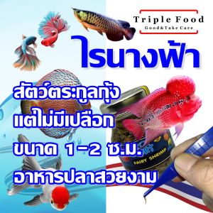 อาหารปลา ไรนางฟ้า UHT Fish Food อาหารปลาสวยงาม ปลากัด ปลาหมอสี ปลาปอม ปลาทอง ปลามังกร อโรวาน่า ปลาเทวดา เต่าญี่ปุ่น ไรน้ำนางฟ้า ไข่ไรนางฟ้า