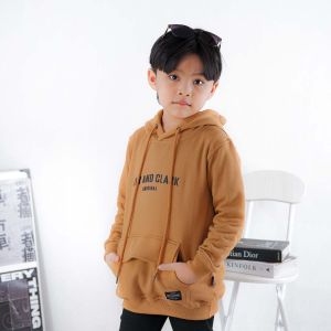 Lily And Clark Hoodie Anak Laki-Laki Warna Almond Brown HD02