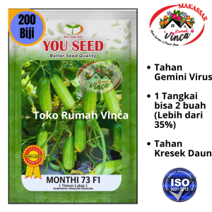 Benih Bibit Timun Lalap Baby MONTY 73 F1 200 Biji Cap You Seed
