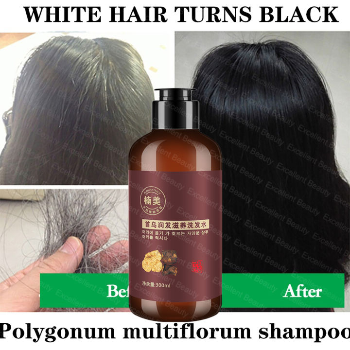 Imported from Korea, Polygonum multiflorum shampoo, white hair turns black, herbal shampoo, male