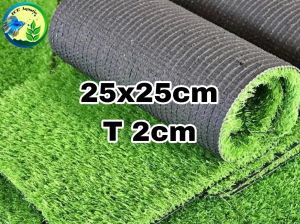 RUMPUT AQUARIUM 25X25X3 CM RUMPUT SWISS GRADE A  DEKORASI AKUASCAPE