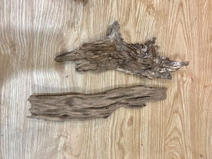 GỖ LŨA RỖNG TỰ NHIÊN – GỖ LŨA GHÉP LAN CẮM HOA TRANG TRÍ BONSAl - MẪU MÃ NGẪU NHIÊN - MAI HUY SINCE 2008