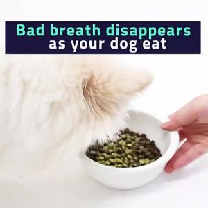 [DR.BY DENTAL]  dog teeth tartar remover puppy mouth supplement (30sachets)