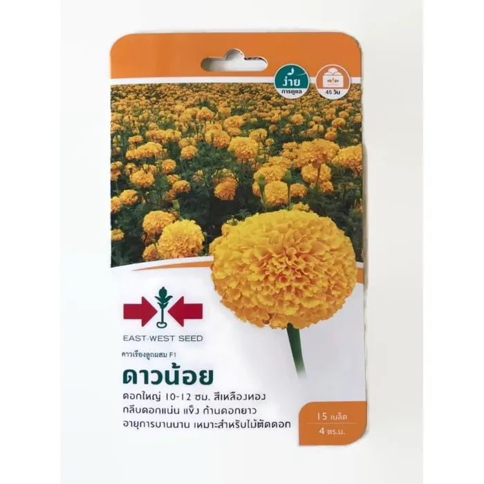 เมล็ดพันธุ์ดาวเรือง ศรแดง ดาวน้อย ดอกกะทัดรัด