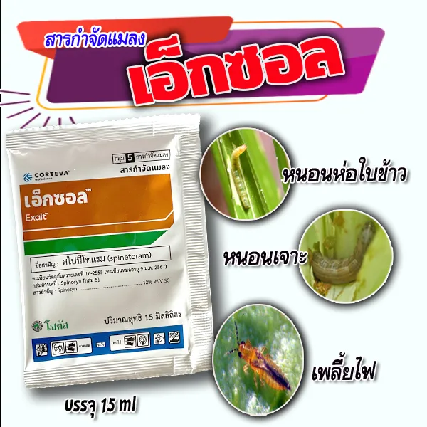 เอ็กซอล สไปนีโทแรม กำจัดหนอนดื้อยาและเพลี้ยไฟ