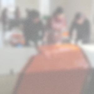 ขายร้อน 56 หนาพิเศษ สีส้ม PE ถุงนอนฉุกเฉินลายพรางสีเขียว [ จัดส่งฟรี ]