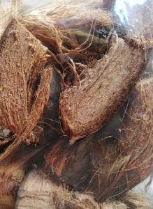 LLCs COCONUT HUSK CUT VARIATION  CHIPS CUBE FIBER PACK 100G