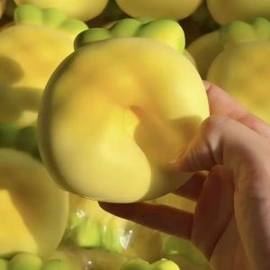 Generic Squishy Toy Slow Rising Scented Simulated Bread Anti Stress Fidgets Toys Slow Rebound Relieve Stress Toy for Friends