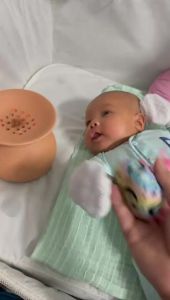 Tungku Herba Tuam Bayi Tungbayee (50g) Lega Kembung Perut Bayi Colic & Selsema [Ready Stock]