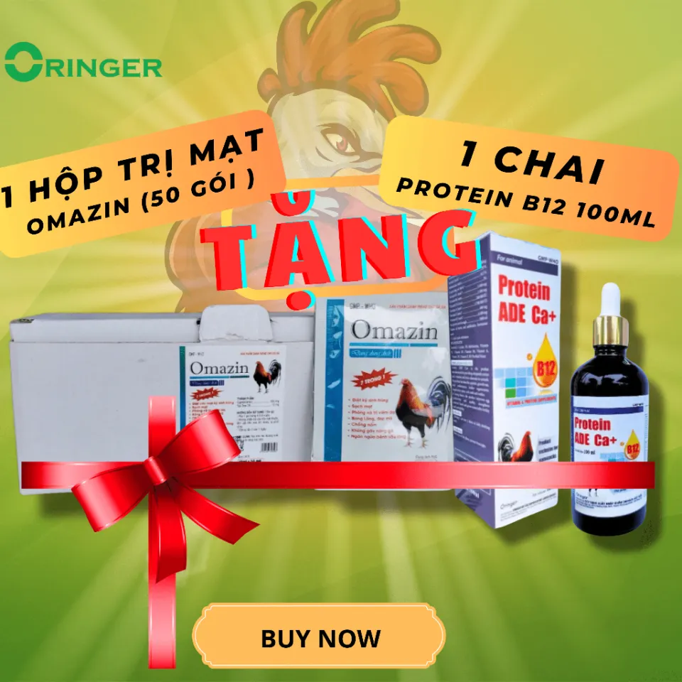 Xola katta kokrak video