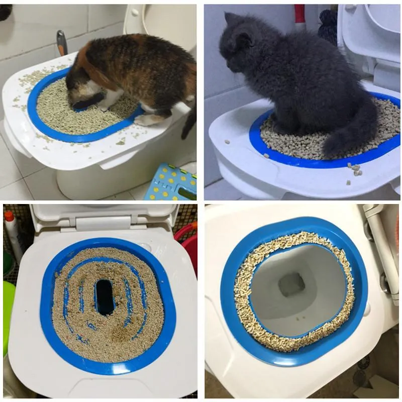 Kitty litter toilet trainer best sale