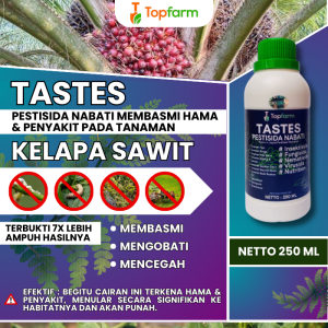 Obat Kumbang Tanduk Kelapa Sawit / Obat Pembasmi Hama Kelapa Sawit / Obat Kuning Daun Kelapa Sawit / Obat Mati Pucuk Kelapa Sawit / Obat Daun Sawit