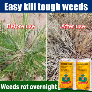 No sambau grows in 10 years TBH Racun rumput paling kuat cepat mati 100g  Racun rumput sambau Weed killer Racun rumput mati akar 除草剂 Racun rumpai paling kuat Glyphosate 95% Herbicide