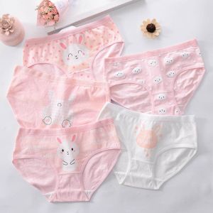 BEE - Cd Imut Fashion Celana Dalam Wanita Dewasa Bahan Katun Mid Waist Jiashini 884