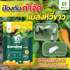 กำจัดแมลงหวี่ขาว บิวเวอร์เรีย เมธาไรเซียม ปราบแมลงศัตรูพืช ชีวภัณฑ์ ปลอดภัย ไม่ผสมสารเคมี แมลงไม่ดื้อยา ยาฆ่าแมลง แมลงปากกัดปากดูด บิวทาเร็กซ์แม็กซ์ 500 กรัม เชื้อเข้มขึ้น 2 เท่า