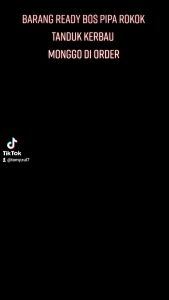 Once Tanduk Kerbau Bule dan Hitam Panjang 12cm Original Kualitas super