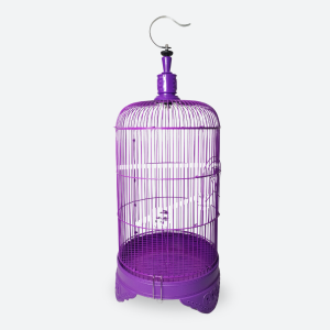[Petbliss.co] Sangkar Burung Pleci Dragon Besi Tebal Dm 28 cm Fullset