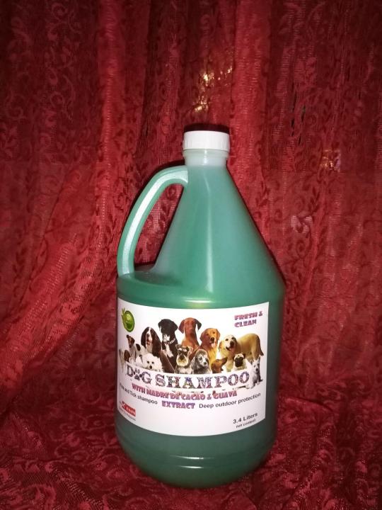 1 gallon G MADRE de CACAO DOG SHAMPOO Lazada PH