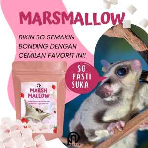 Marshmallow Snack Cemilan Makanan Favorit Sugar Glider Hamster SG Termurah