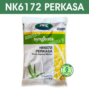Benih Jagung NK6172 PERKASA 1 Kg